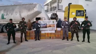 More than 700,000 hallucinogenic tablets were seized in Laghouat - New Algeria