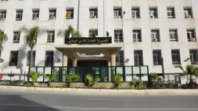 National Security launches two employment competitions - Algerian Al-Hiwar newspaper