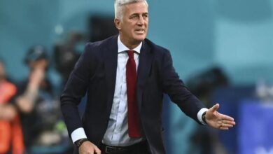 Petkovic raises the level of caution before confronting the Democratic Republic of Congo - Algerian Al-Hiwar newspaper