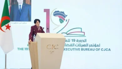President of the Constitutional Court: Joint African cooperation to promote constitutional justice - Algerian Al-Hiwar newspaper
