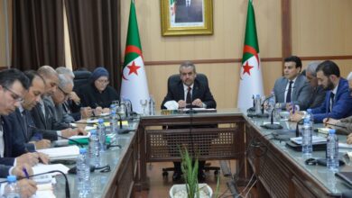 Saadawi freezes the training process for the sake of integration permanently