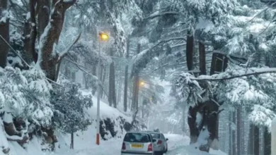 Snow is expected on Saturday and Sunday in these states - New Algeria