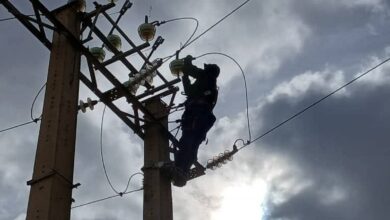 "Sonelgaz"... activating emergency plans and installing follow-up cells - New Algeria