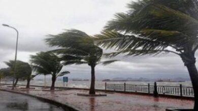 Special bulletin: Strong winds blow in 45 states - New Algeria