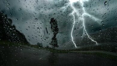 Strong weather fluctuations cause material damage in several states - Algerian Al-Hiwar newspaper