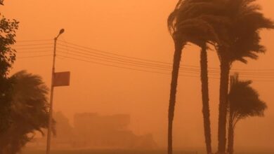 Strong winds. This is the weather for Wednesday - New Algeria