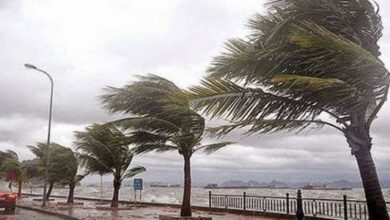 Strong winds at speeds of 120 km/h threaten Algeria - Algerian Al-Hiwar newspaper