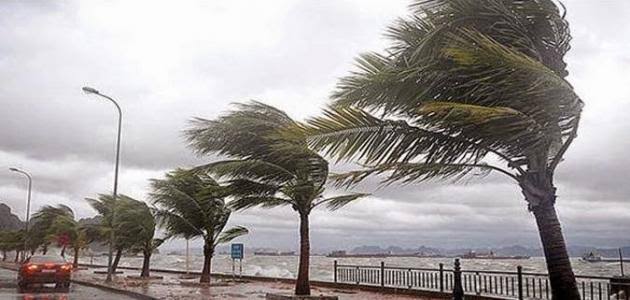 Strong winds at speeds of 120 km/h threaten Algeria - Algerian Al-Hiwar newspaper