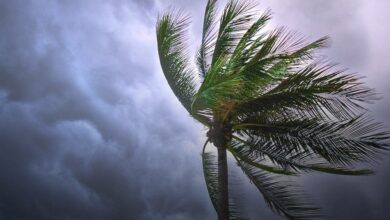 Strong winds will continue until Sunday