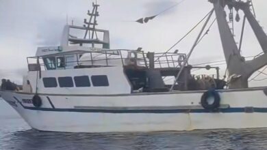 Suspension of the license of a fishing vessel that violated prohibited areas in Mostaganem - New Algeria