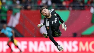 The French press praises Zidane's strong performance in the Algerian national team!