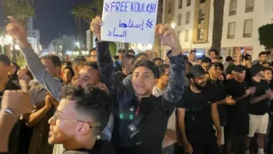 The Makhzen regime activates its horns to target Algerians in France - New Algeria