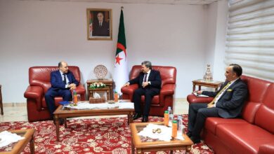 The Minister of Communication appreciates the national competencies and scientific and pedagogical efforts