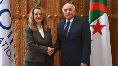The Ministry of Foreign Affairs receives the International Organization for Migration to discuss this file - New Algeria
