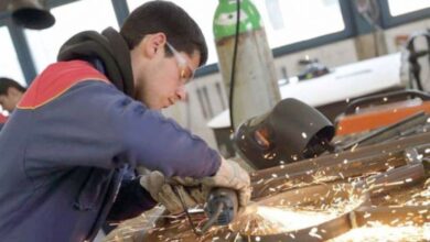 The Ministry of Solidarity suspends studies - New Algeria