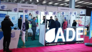 The National Entrepreneurship Salon...an opportunity to enter the world of work - New Algeria