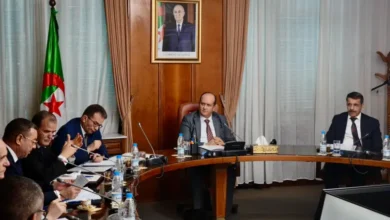 The President of the Republic orders to support the market by importing one million sheep - Algerian Al-Hiwar newspaper