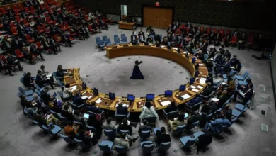 The UN Security Council holds an emergency meeting