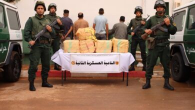 The army confirms its high professionalism in combating terrorism and crime