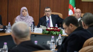 The draft law on parties is a strategic step to strengthen democratic life