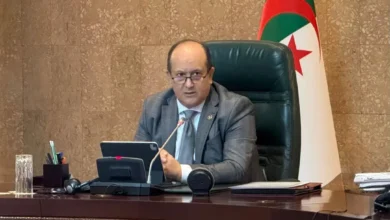 The government is studying training programs and national projects - Algerian Al-Hiwar newspaper