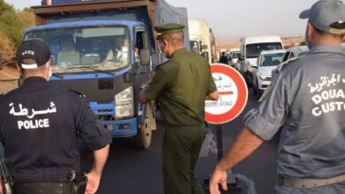 The new traffic law... driving licenses without driving schools! - New Algeria