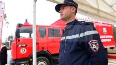 The outcome of the civil protection intervention within 24 hours - New Algeria