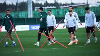 The president of FAF motivates the “Greens” before confronting the Democratic Republic of Congo - Algerian Al-Hiwar newspaper