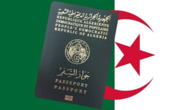 These are the ones concerned with stripping Algerian citizenship - the new Algeria