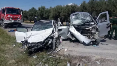 Thoughtful steps to reduce road terrorism: The draft traffic law is still under discussion - Algerian Al-Hiwar newspaper