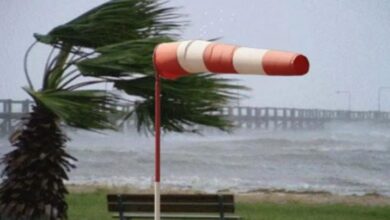 Weather conditions for Friday - New Algeria