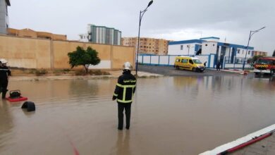 Weather fluctuations cause material losses in several states - New Algeria