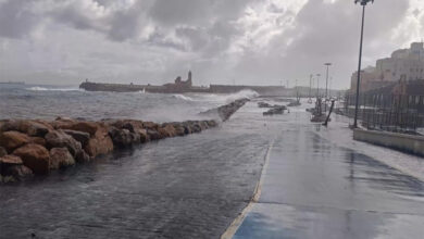 Weather fluctuations: rescuing stranded people... landslides and falling trees