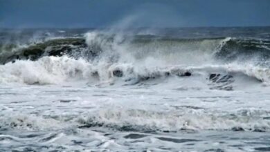Weather fluctuations...the Marine Fishing Directorate warns! - New Algeria