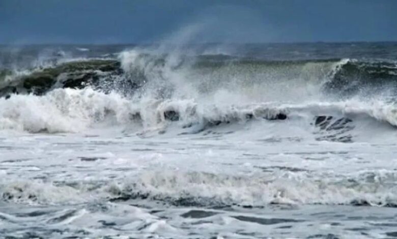 Weather fluctuations...the Marine Fishing Directorate warns! - New Algeria