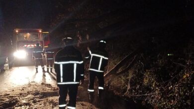 Weather fluctuations...the general situation of civil protection interventions - New Algeria