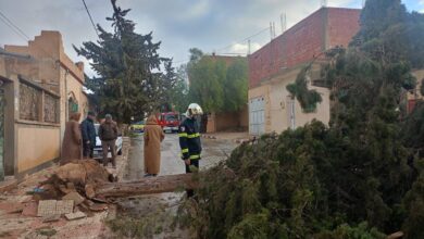 Widespread material losses due to weather fluctuations across several states - Algerian Al-Hiwar newspaper