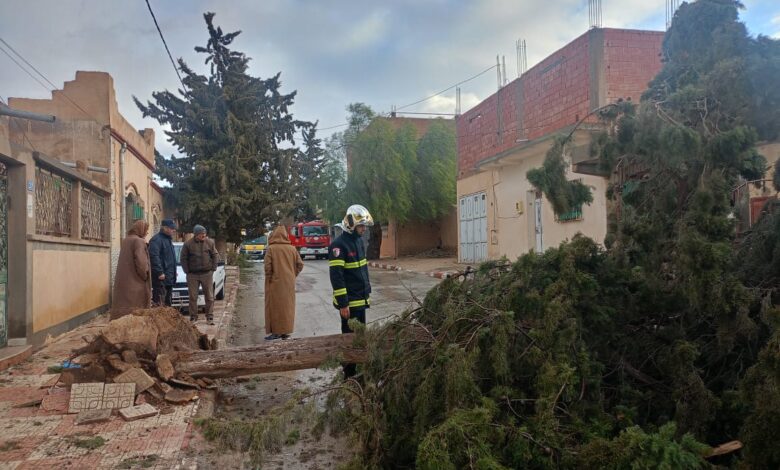 Widespread material losses due to weather fluctuations across several states - Algerian Al-Hiwar newspaper