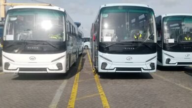 335 buses transporting passengers arrive at the port of Algiers - New Algeria
