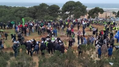 Afforestation campaign...wide participation to plant 5 million trees - New Algeria