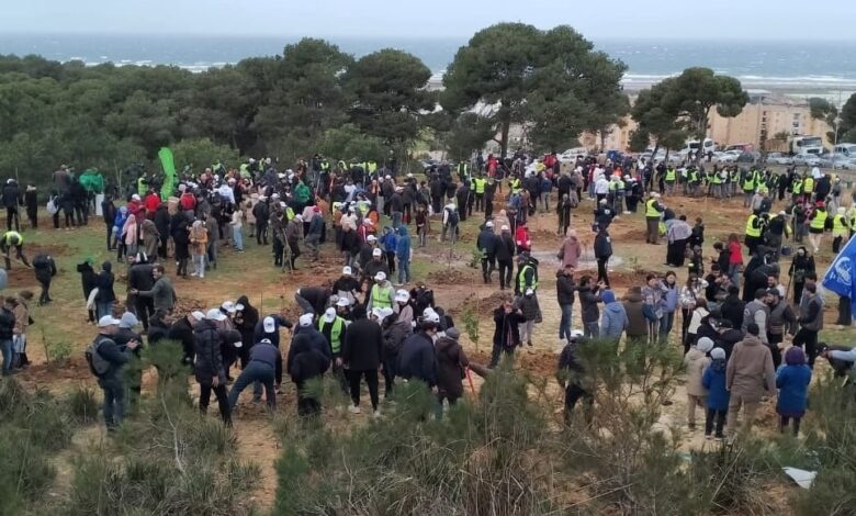 Afforestation campaign...wide participation to plant 5 million trees - New Algeria