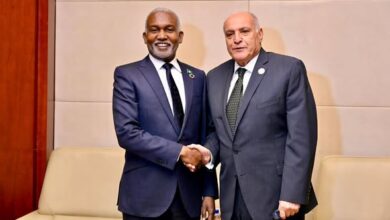 Algeria and Nigeria discuss promoting development in the Sahel Sahel region - New Algeria