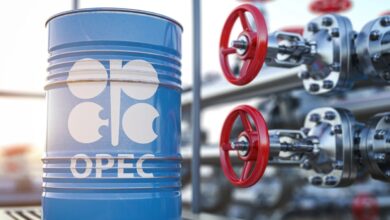 Algeria decides to maintain the suspension of oil production increases
