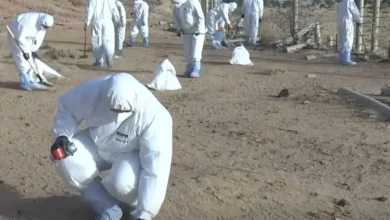 Algeria launches the first operation to cleanse the sites of nuclear explosions in In Acre - Algerian Al-Hiwar newspaper