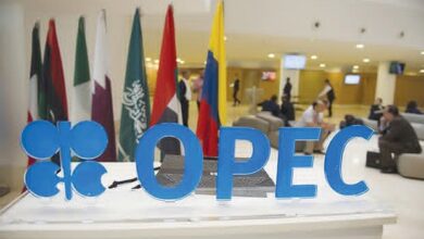 Algeria participates in the OPEC+ ministerial meetings - New Algeria