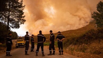 Algeria uses technology to prevent forest fires