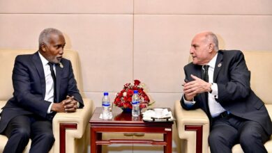Attaf holds bilateral talks in Addis Ababa with his Kenyan counterpart - New Algeria