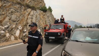 Civil Protection..6003 participants in “Cysmex Bouira 2026” - New Algeria