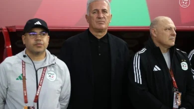 FAF sets its terms for renewal with Petkovic - New Algeria