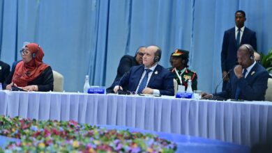 Gharib participates in the Africa-Italy-New Algeria Summit